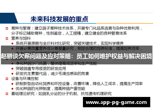 赵鹏谈欠薪问题及应对策略：员工如何维护权益与解决困境