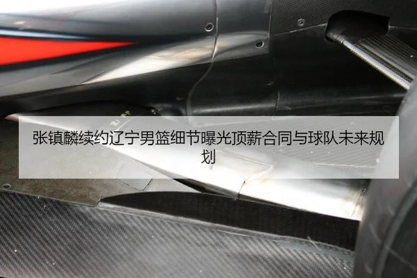 zhang-zhen-lin-xu-yue-liao-ning-nan-lan-xi-jie-bao-guang-ding-xin-he-tong-yu-qiu-dui-wei-lai-gui-hua-2-463.jpg